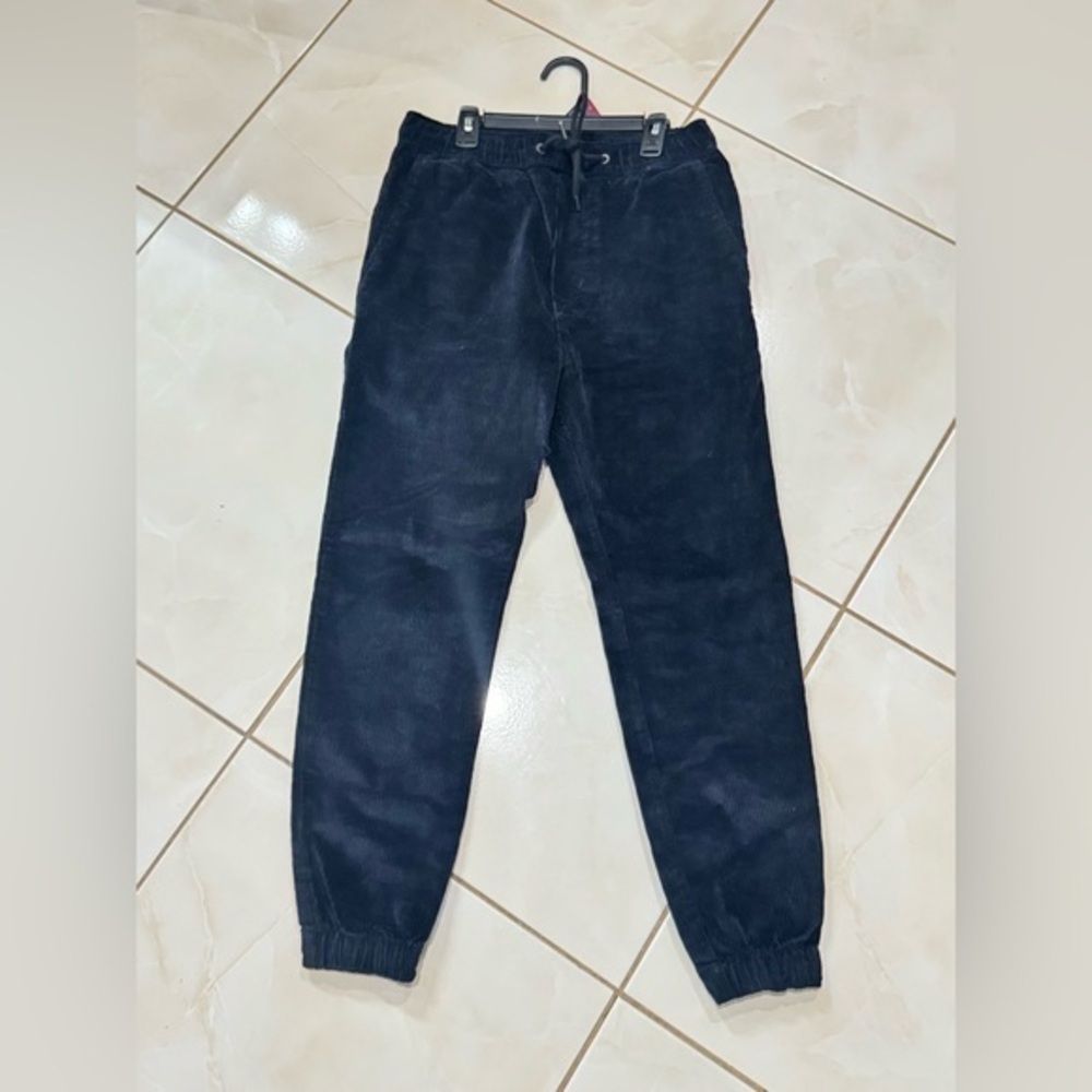 American Eagle Outfitters Men's Dark Corduroy Pants